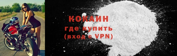 стафф Заводоуковск