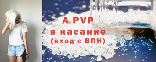 стафф Заводоуковск