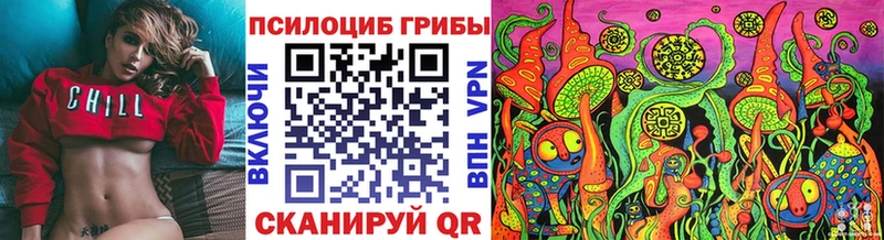 Галлюциногенные грибы GOLDEN TEACHER  Купить  Тайшет 